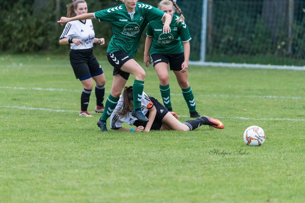 Bild 160 - Frauen SG Holstein Sued - SV Eintracht Luebeck : Ergebnis: 3:0